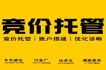百度推广在电商行业的成功案例